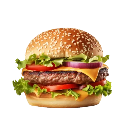 burger pic