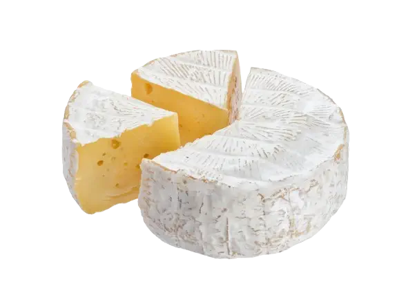 camambert