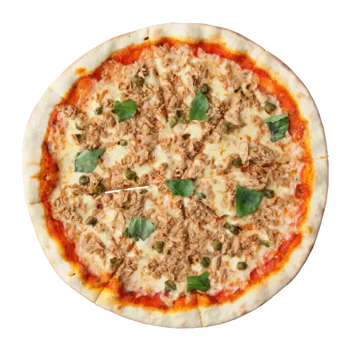 Pizza Thon-webp